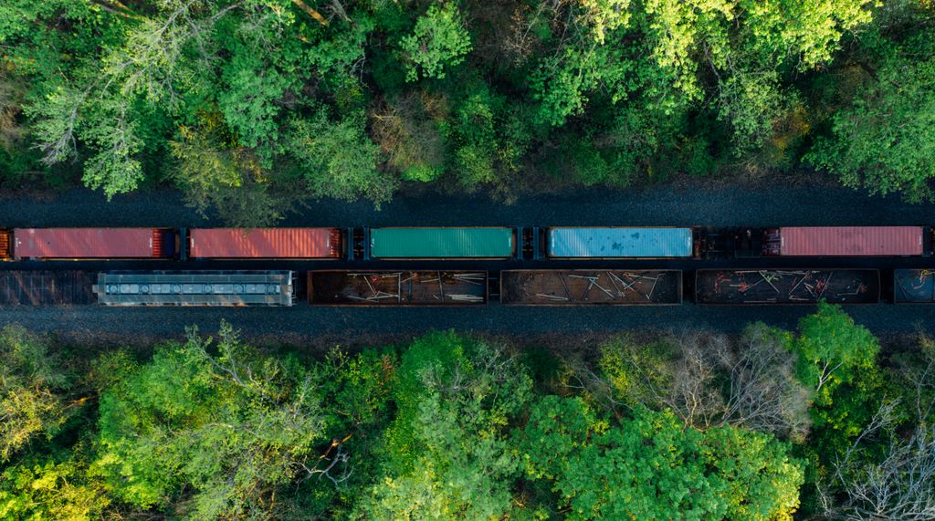 Trem de carga com contêineres e gôndolas entre a mata, visto de cima